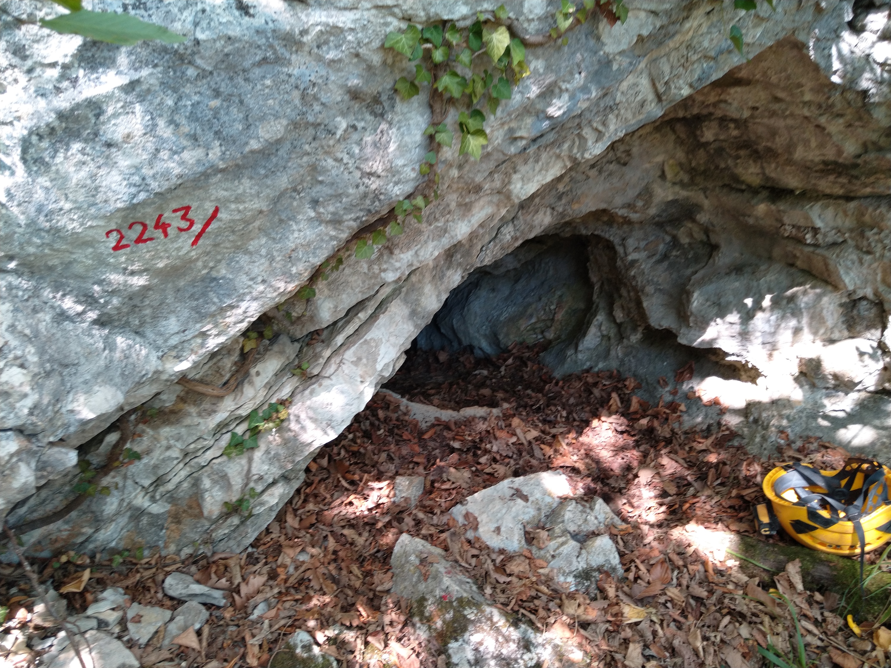 Peștera Nr.12 din Valea Toplița - Image 1